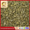 Grown Without Shell Pumpkin Seed Kernels New Crop